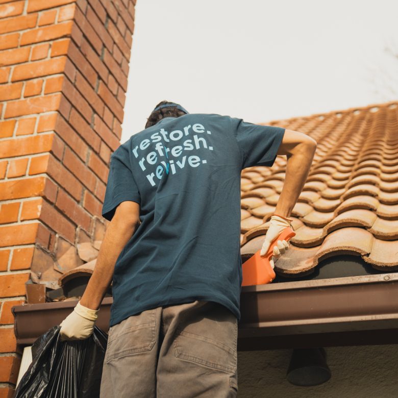 Gutter Cleaning