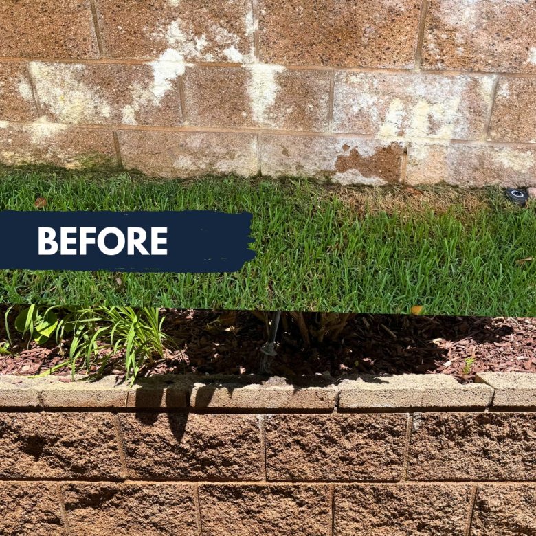 Efflorescence Removal Brick
